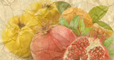 Alla scoperta del sapore dei natali passati