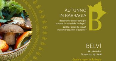 Autunno in Barbagia 2016 Belvì