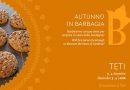 Autunno in Barbagia 2016 Teti