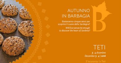 Autunno in Barbagia 2016 Teti