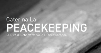 Mostra Peacekeeping di Caterina Lai