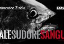 Mostra Sale Sudore Sangue di Francesco Zizola