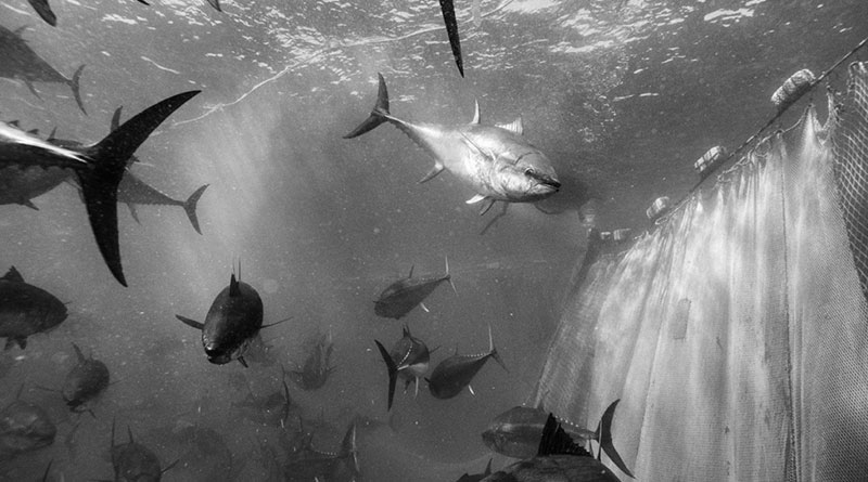 Mostra Sale Sudore Sangue di Francesco Zizola
