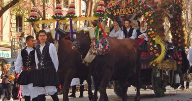 Sant' Efisio, Sarroch: tappa obbligata verso il luogo del martirio