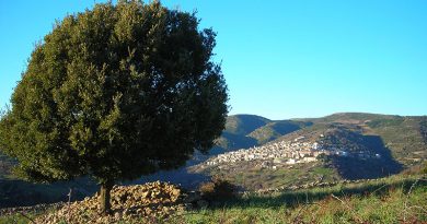 Seulo: il fascino senza tempo della Barbagia