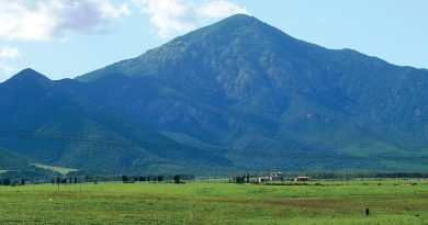 Monte Arcosu, Oasi del WWF